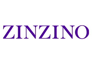 Logo Zinzino