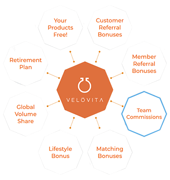 Velovita compensation plan